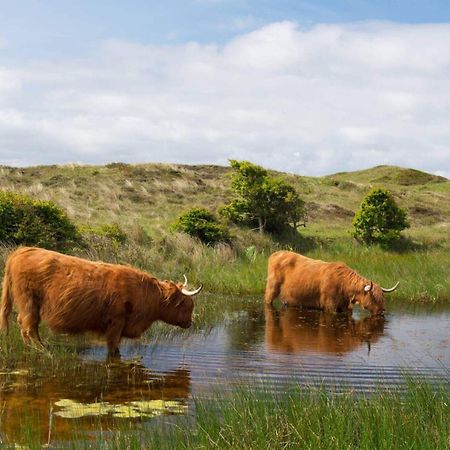 Bnb Westerduinen, De Bollekamer Panzió De Koog  Kültér fotó
